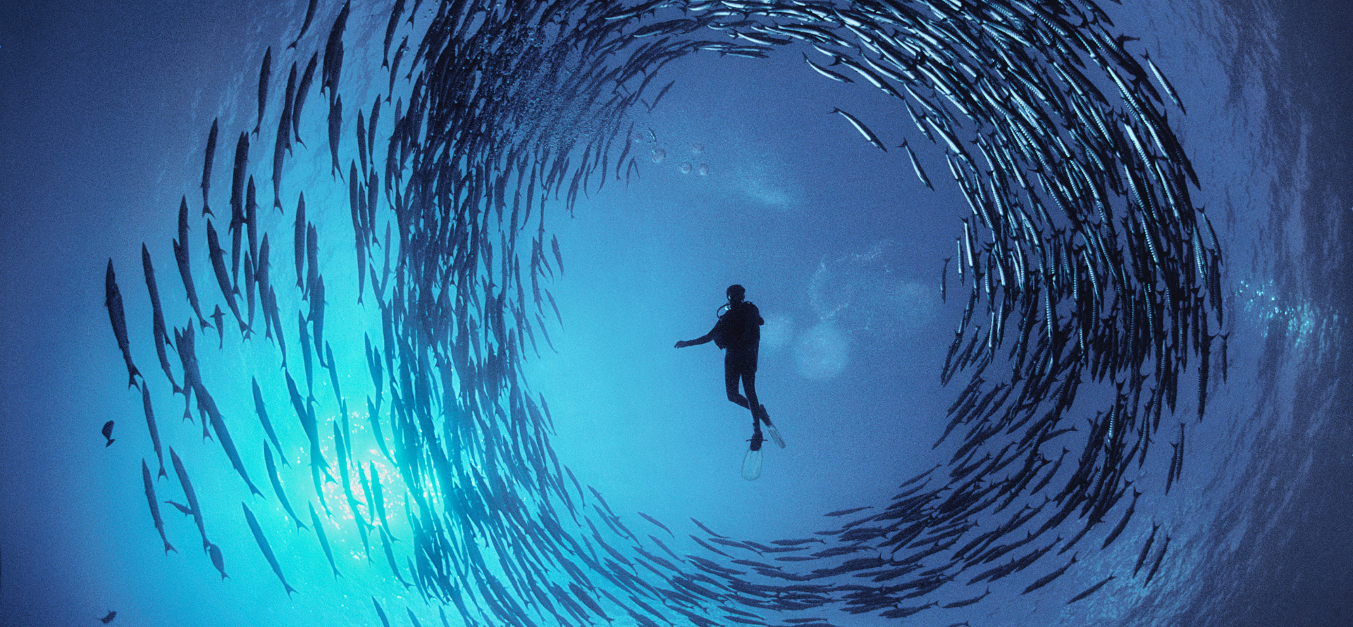 "Oceani”, la mostra di David Doubilet e National Geographic