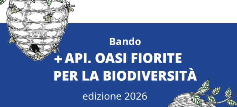 “+ Api. Oasi fiorite per la biodiversità – Edizione 2026”