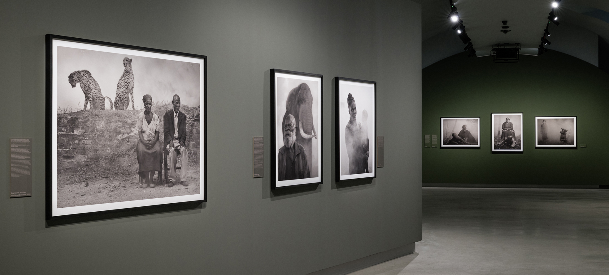 Nelle fotografie di Nick Brandt animali ed esseri umani condividono un destino di resistenza e speranza in un mondo al collasso