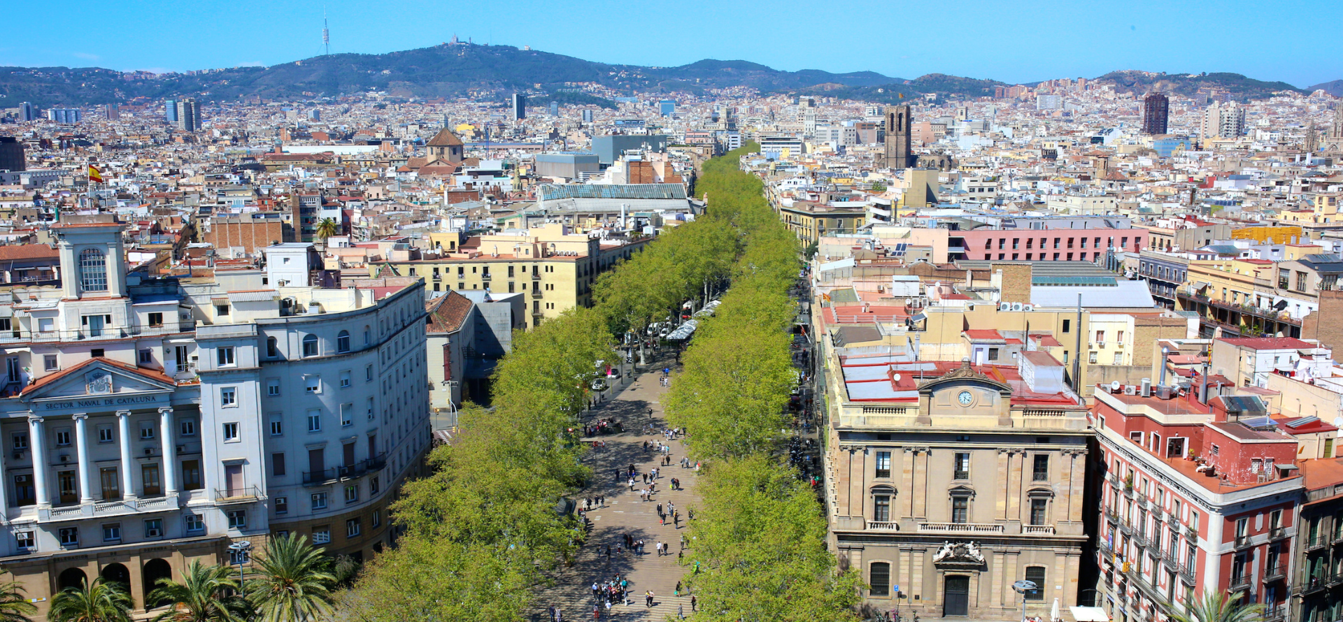 Strade di alberi